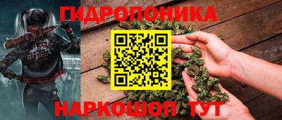Альфа ПВП Пушкино